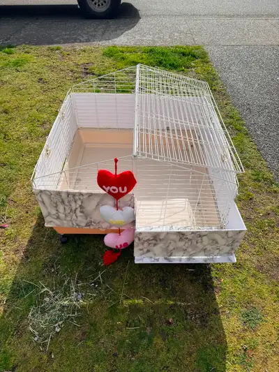 Free Cage, View more