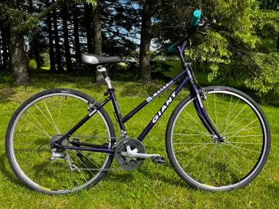 vélo hybride Giant Nutra 15.5po, View more
