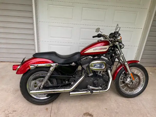 2006 Harley Davidson Sportster XL1200R in Street, Cruisers & Choppers in Winnipeg - Image 2