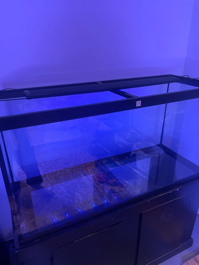 Fish tank 90g Fish for Rehoming Winnipeg Kijiji