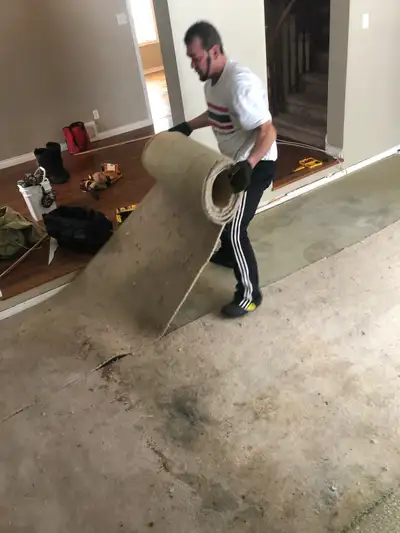 Demo - Interior/exterior , View more