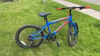 20inch kids bicycle. 40$
