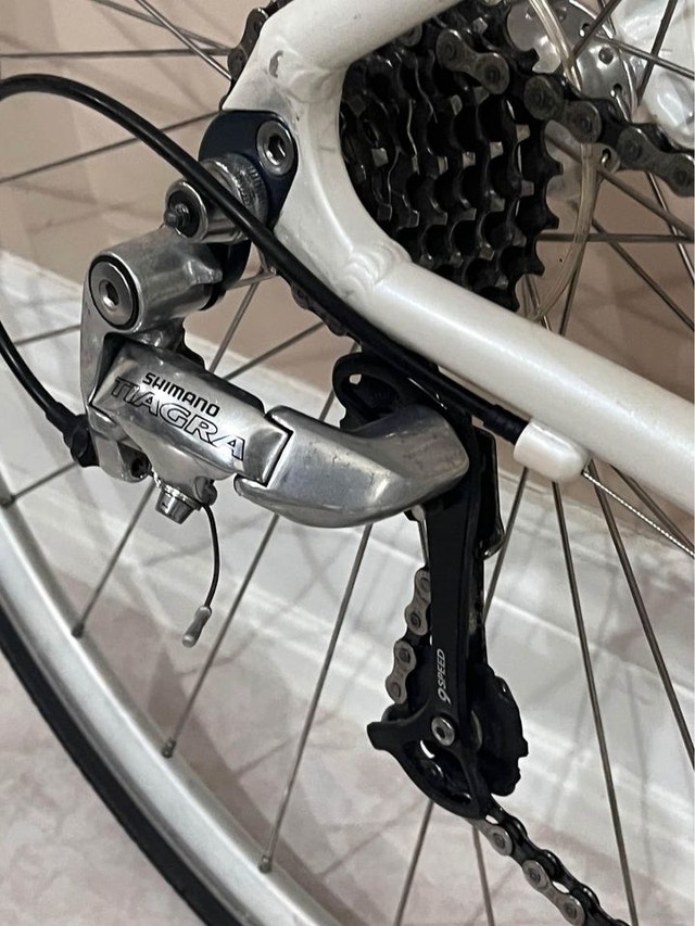 specialized dolce 48cm