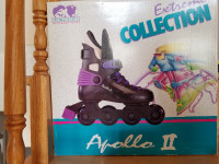 Roller blades Extreme Collection Apollo II - Youth Size 1