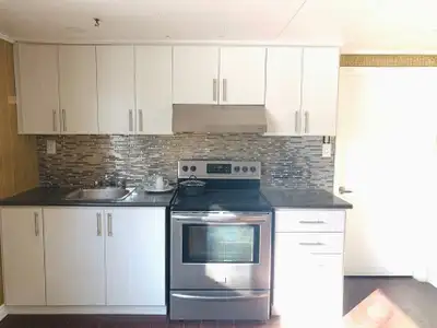 Bright and beautiful walk out basement for rent