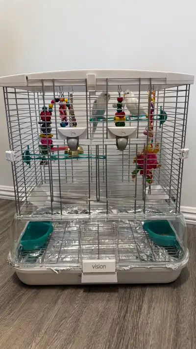 Two parrots for sale, View more