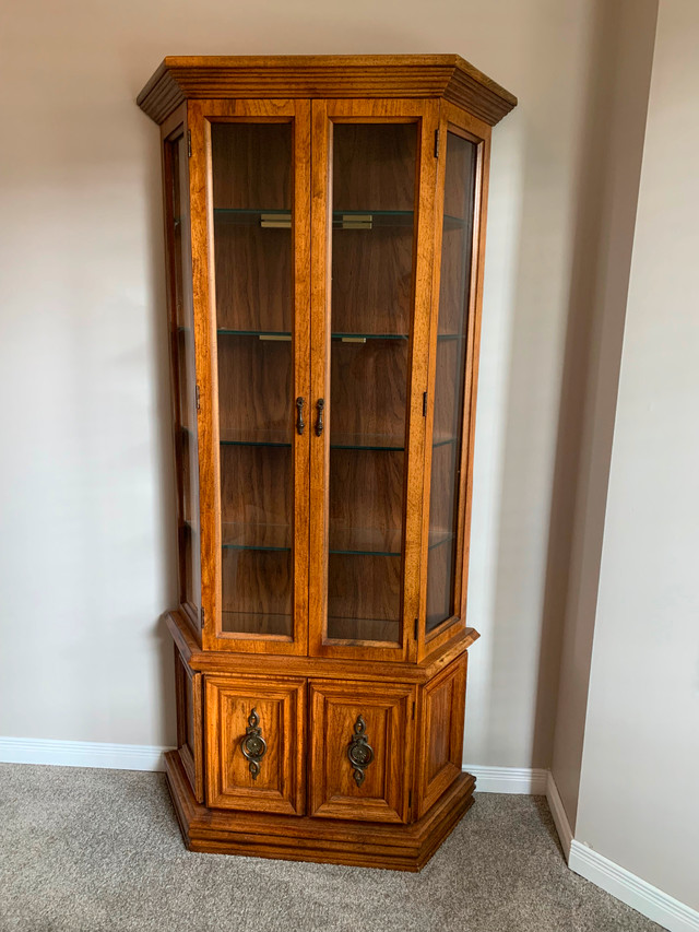 Curio cabinet in Hutches & Display Cabinets in Hamilton