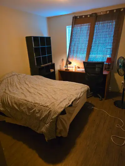 Room for rent in 2 bedroom apt. Near walmart.