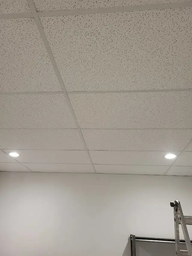 drop ceiling 65745638910466120