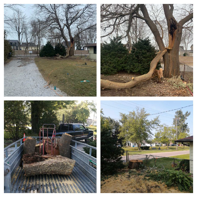 HIR tree service Chatham Kent devision  in Lawn, Tree Maintenance & Eavestrough in Chatham-Kent