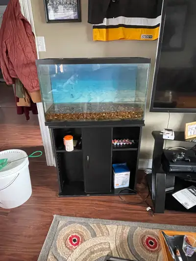Fish tank + stand+ accessories , View more