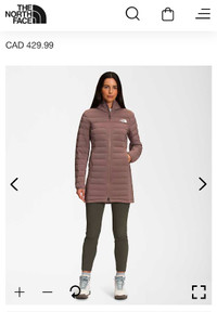 The Northface spring coat