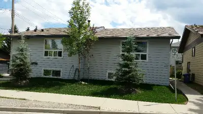 AVAILABLE May 01/2026, 2BR APAETMENT FOR RENT In Richmnd/Knob Hill District,Calgary; 2BR apartment a...