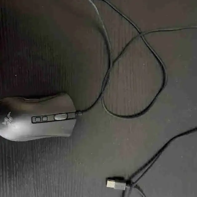 Razer Mouse 