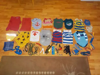 All Pets Accessories in the picture, View more