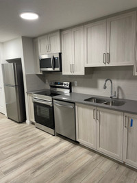 Newly Built Legal Basement for Rent in SE Calgary