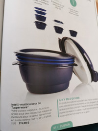 Intellis multicuiseur Tupperware