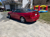 2000 mustang GT convertible. 5 speed manual 