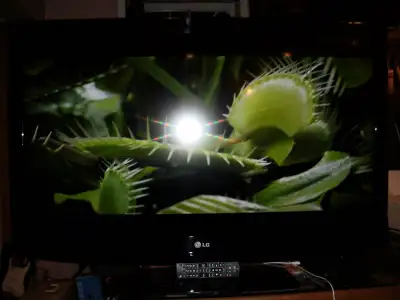 42 inch LG model no. 42LD340H High Definition Liquid Crystal Display Flat Screen HD-PPV Television w...