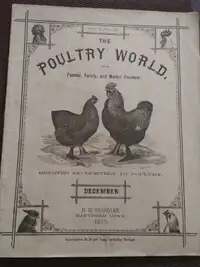 the poultry world