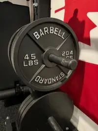 45lb Rogue Olympic Cast Iron plates