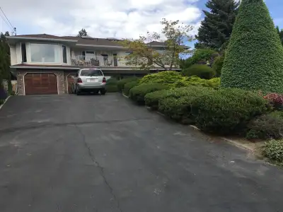 Handyman/Carpenter Available., View more