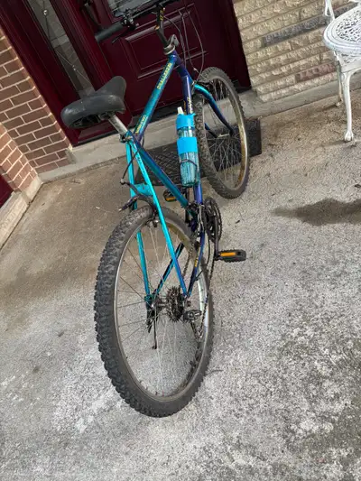 Century Challenger 24” Mountain Bike – Made in Canada, View more