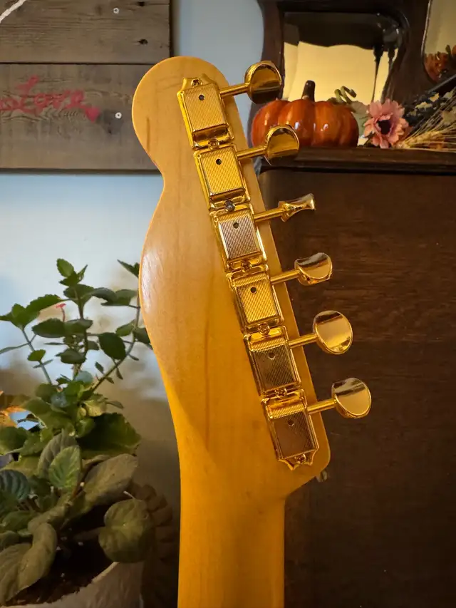 “Snakehead-Style” Esquire/Telecaster in Guitars in Edmonton - Image 8