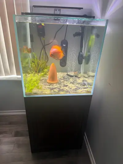60 gallon aquarium rimless square shape, 24×24×24, comes stand, , View more