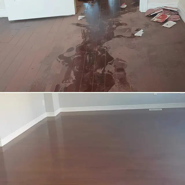 POLISH LADY WILL CLEAN YOUR HOUSE IN DETAILS!!!63860079787395122