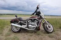 Custom Harley v rod 