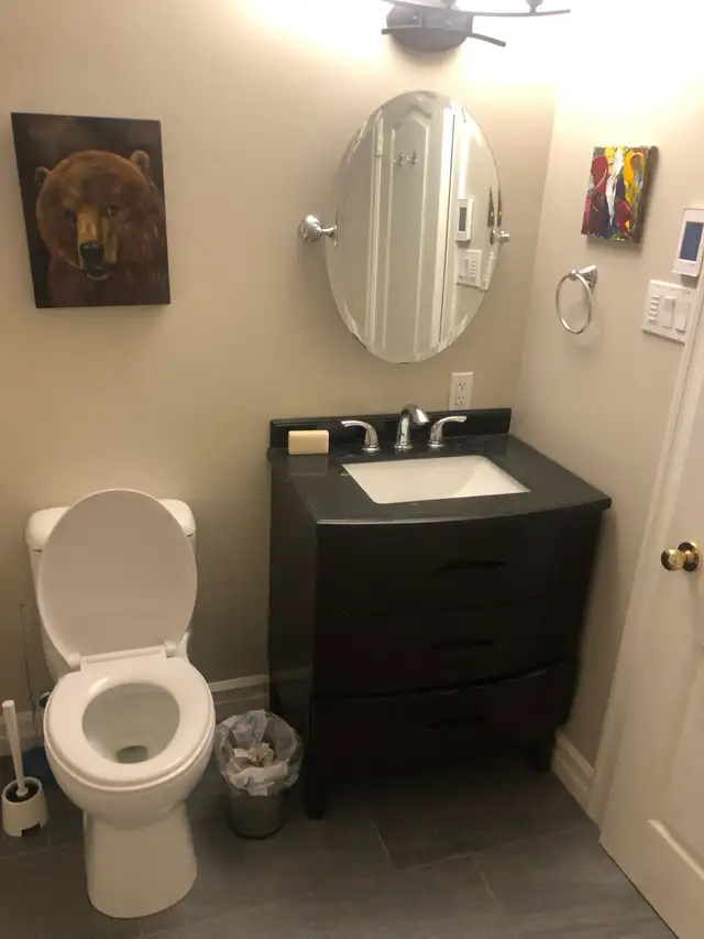 New, large, sunny 2-bedroom apartment for rent Jan. 1, 2025. in Long Term Rentals in Bridgewater - Image 6