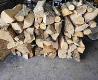 Bundled Firewood / Bundled Campfire Wood