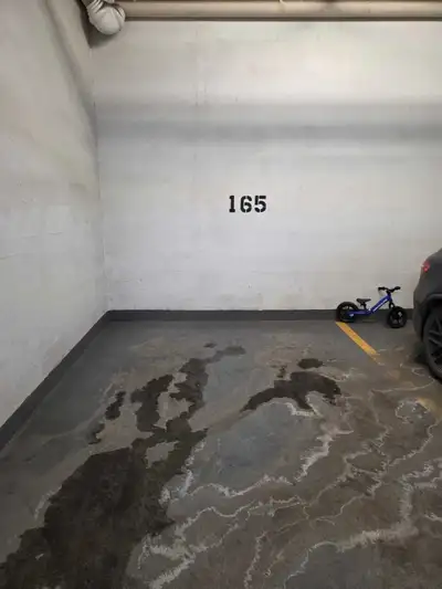 Address: 910 5 ave sw Please contact: 6477182153 Or email me at : allenchuvc@gmail.com