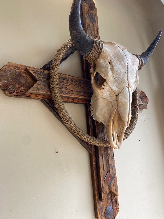 Buffalo Skull Wall Hanging in Arts & Collectibles in Kawartha Lakes - Image 2
