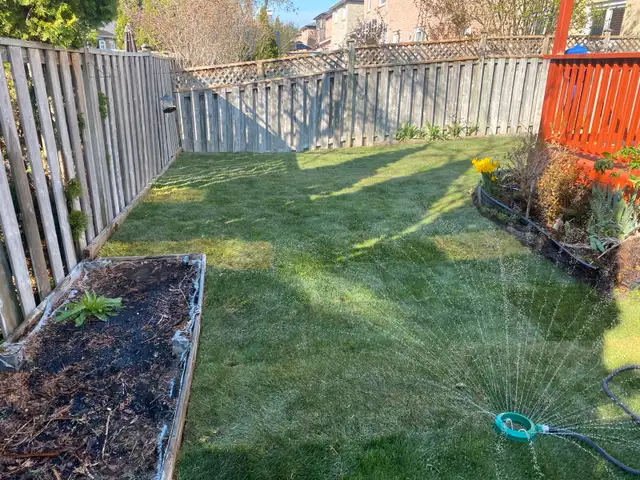 Sod-Supply & Install 62863270919043123