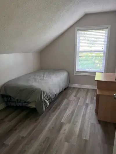 room to rent