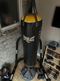 Everlast Punching Bag, Stand and holder