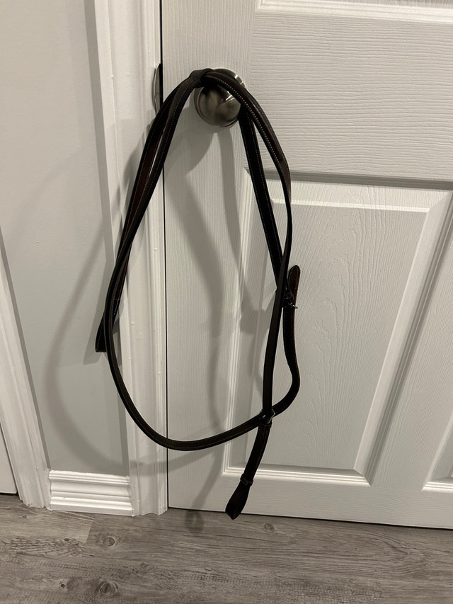 Horse and pony bridles, reins, flashes, martingales for sale in Equestrian & Livestock Accessories in Oshawa / Durham Region - Image 4