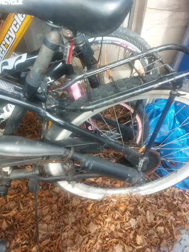 A gas bicycle in eBike in Mississauga / Peel Region - Image 3