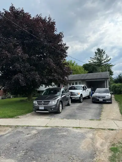 Bright 2-Bedroom Basement Unit – Private Laundry, Side entrance