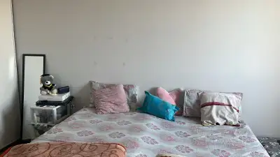 Looking for a female roommate on a sharing basis.The apartment