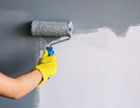 Professional Interior Painting Services