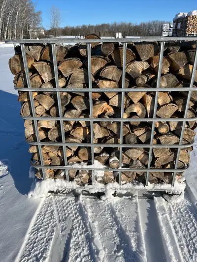 White Poplar Firewood, View more
