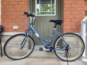 tamarack comfort bike