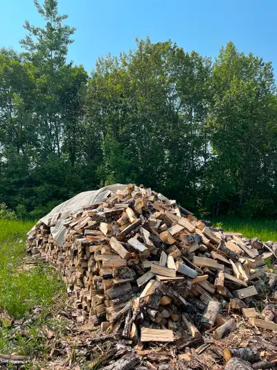 I have lots of split firewood, I am selling it for 225$ a cord (4’x4’x8’) delivery included within a...