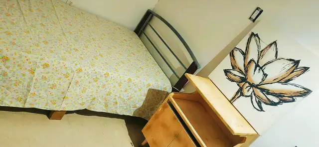 ✨Nice Furnished 2 rooms in Basement  Private Entrance
