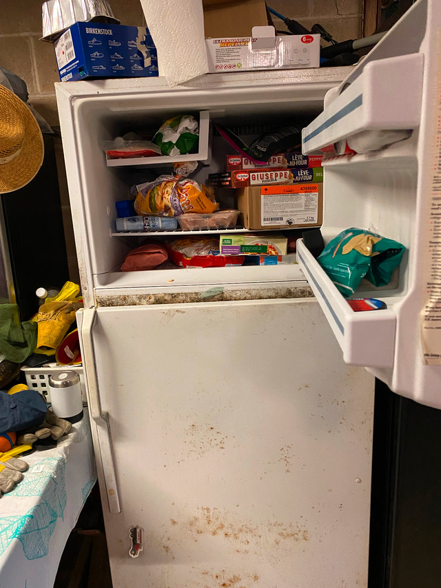Fridge/freezer in Freezers in Owen Sound - Image 3