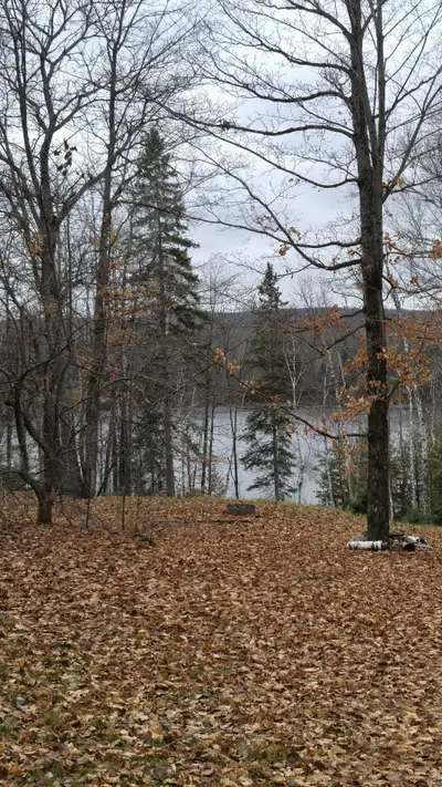 Magnifique terrain avec 157 pieds de façade sur le lac-des-écorces Situé à seulement 10 min. de Mont...