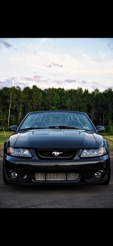 2003 Ford Mustang Centennial Edition